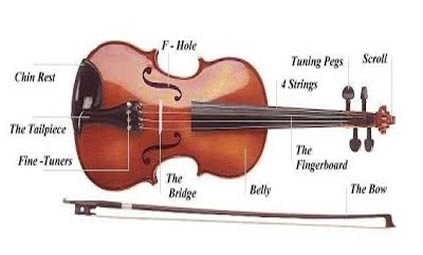 pieces of a violin picture